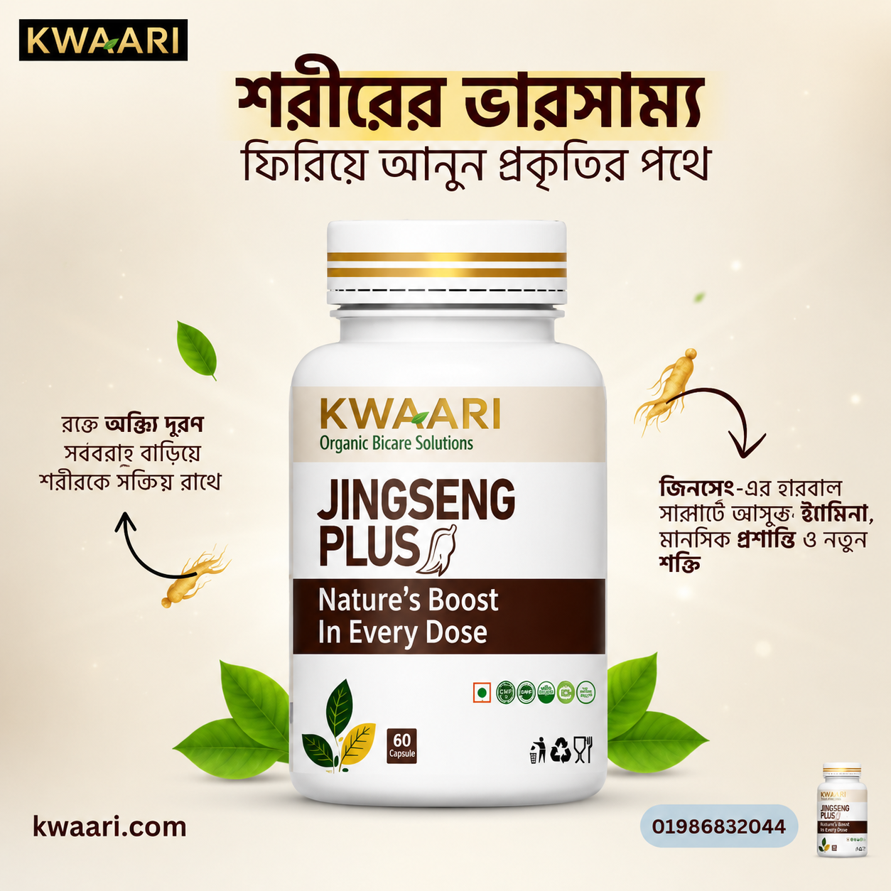 Jingseng Plus